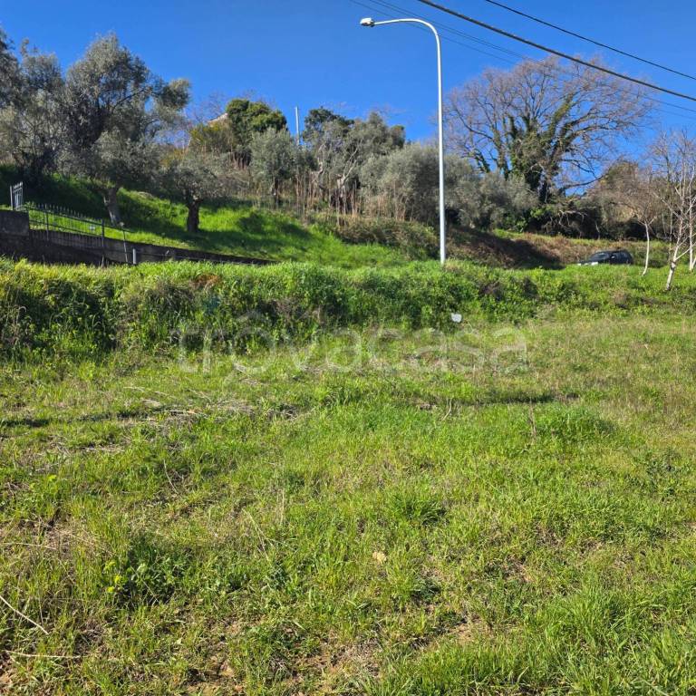 immagine annuncio 4 di 9