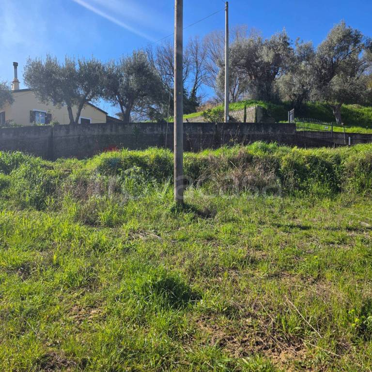 immagine annuncio 5 di 9