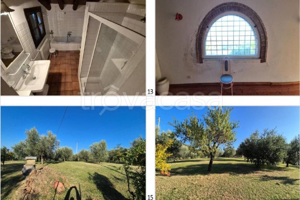 immagine annuncio 3 di 14