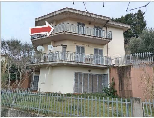 immagine annuncio 1 di 7