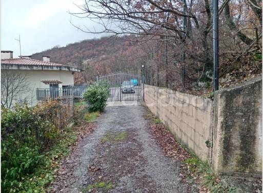 immagine annuncio 2 di 7