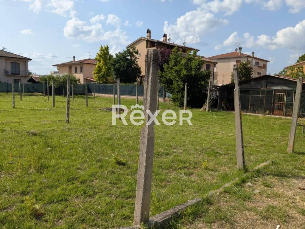 immagine annuncio 2 di 8