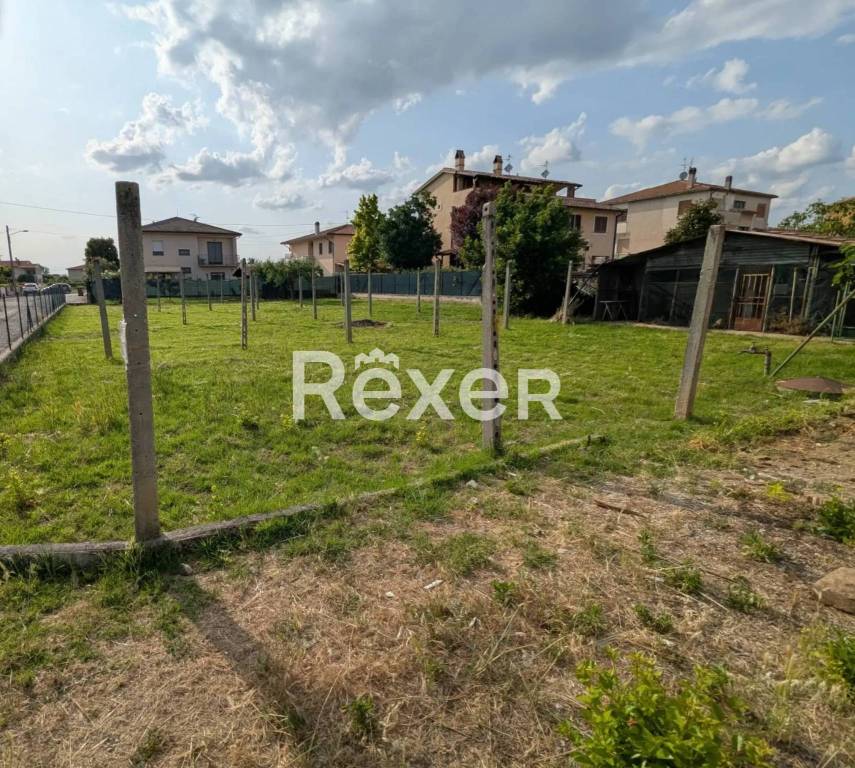 immagine annuncio 3 di 8