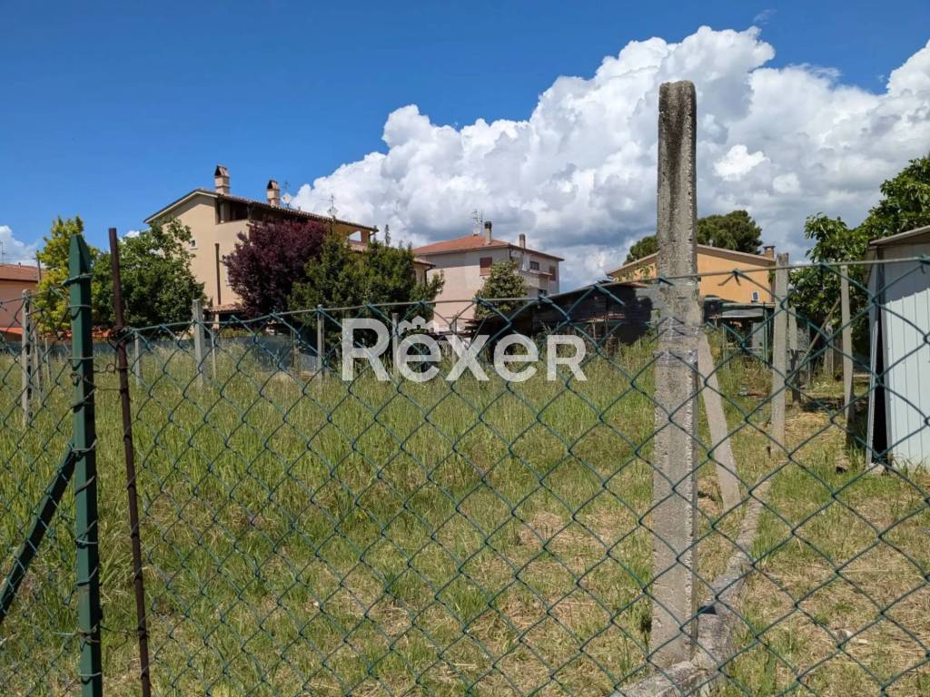 immagine annuncio 7 di 8