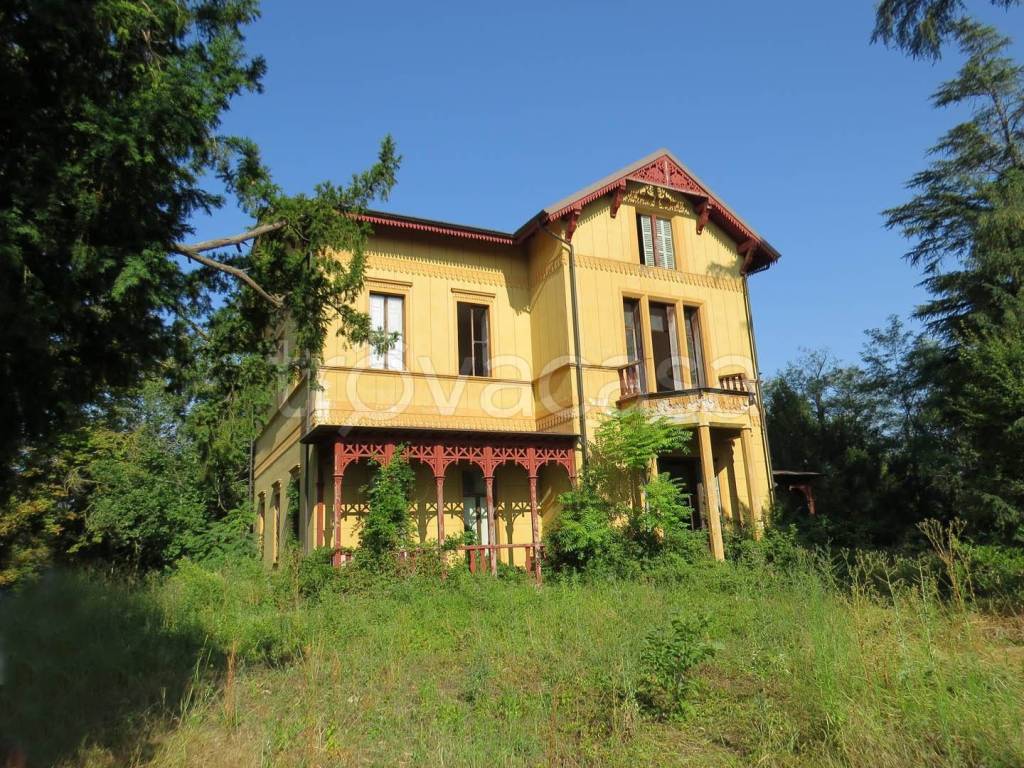 immagine annuncio 11 di 15