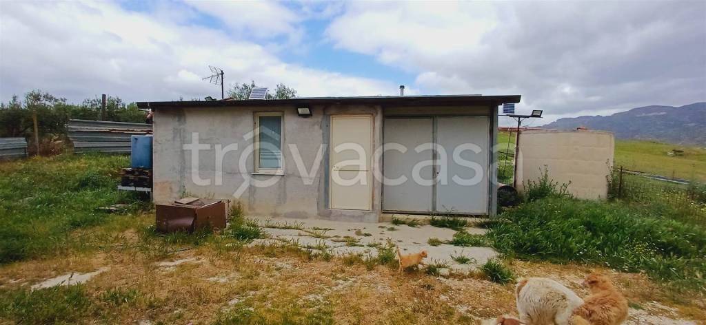 immagine annuncio 8 di 13