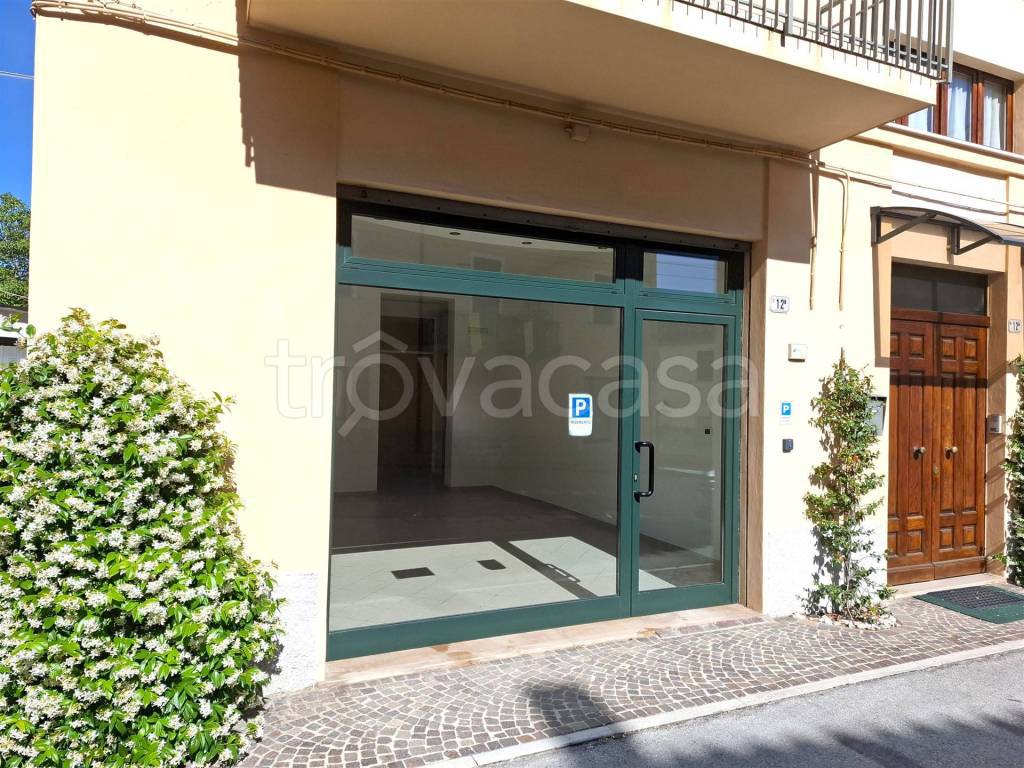 immagine annuncio 1 di 14