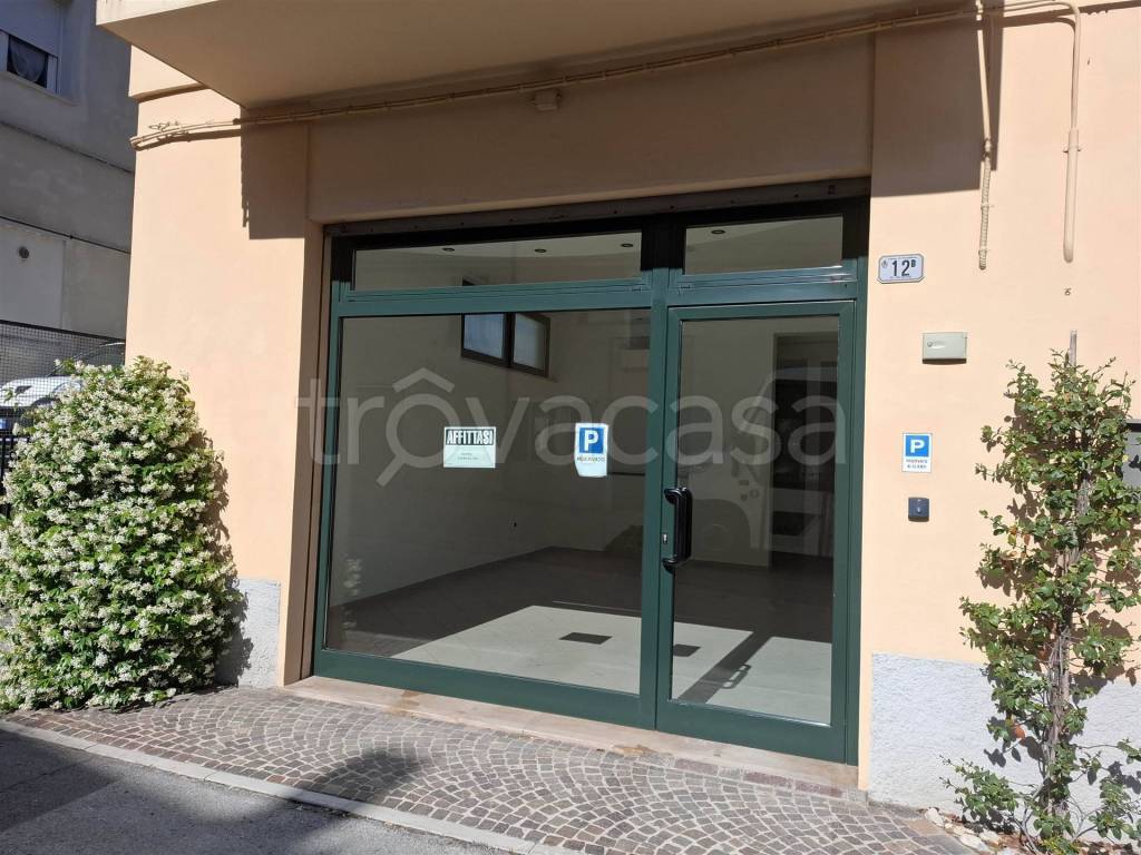 immagine annuncio 2 di 14