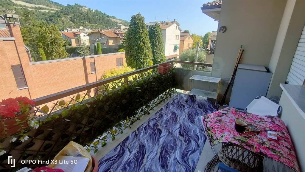 immagine annuncio 4 di 8