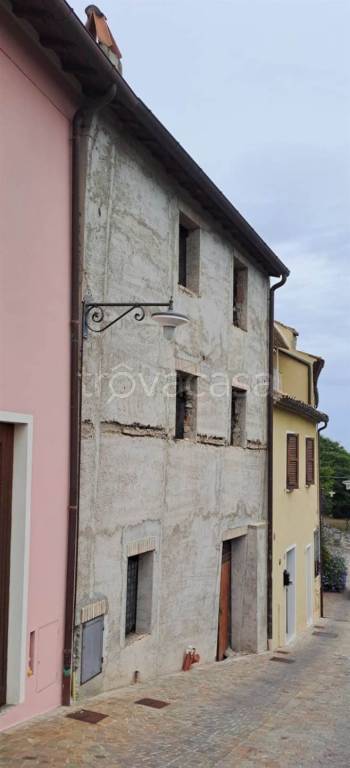 immagine annuncio 9 di 13