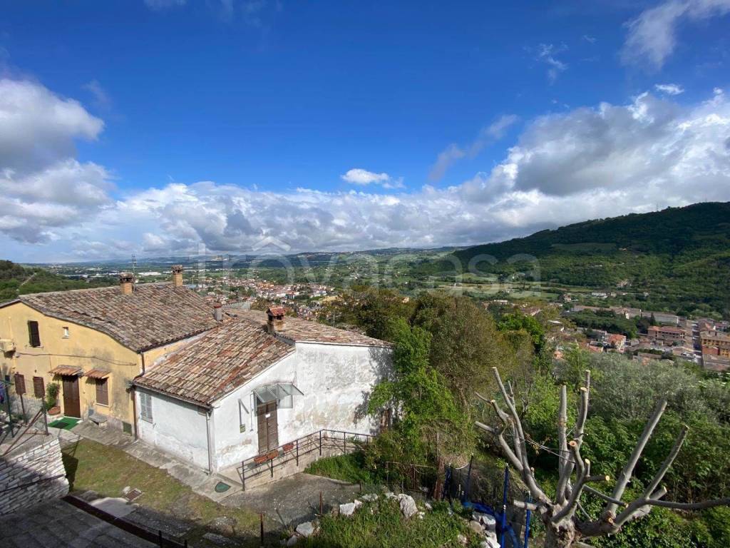 immagine annuncio 7 di 13