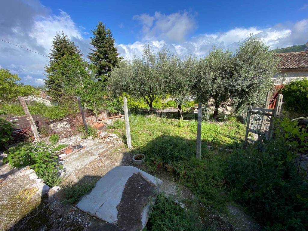 immagine annuncio 8 di 13