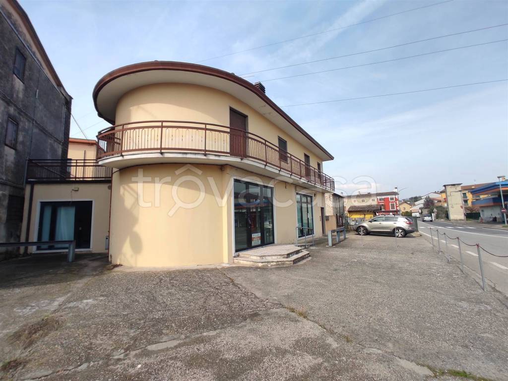 immagine annuncio 2 di 14