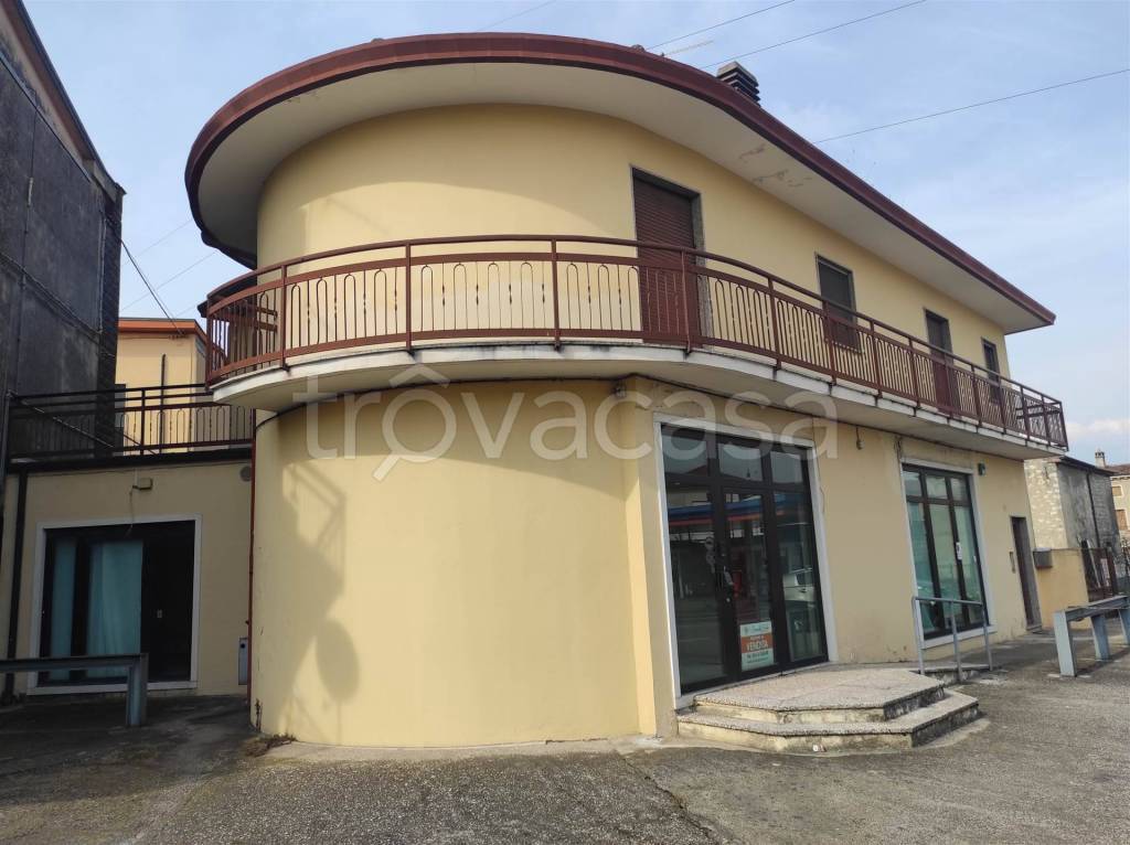 immagine annuncio 3 di 14