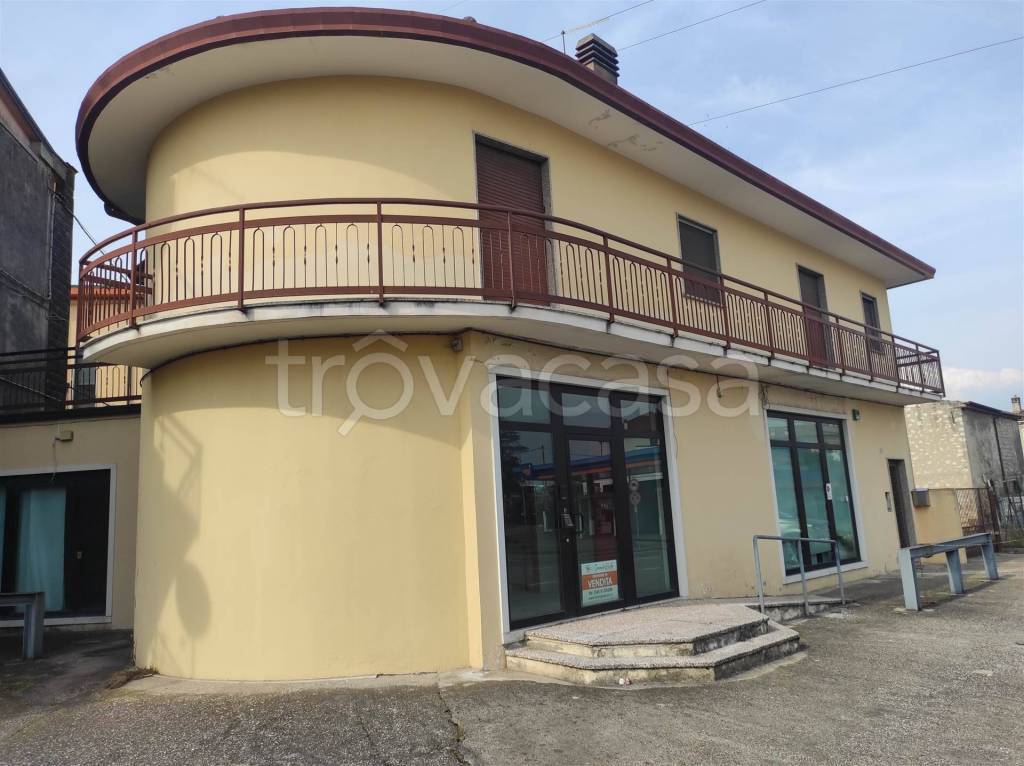 immagine annuncio 4 di 14