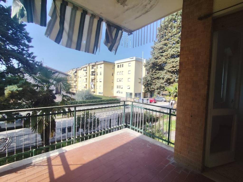 immagine annuncio 12 di 15