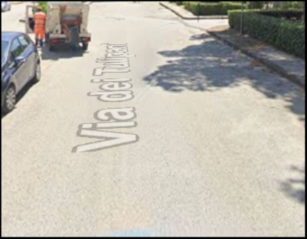 immagine annuncio 3 di 12