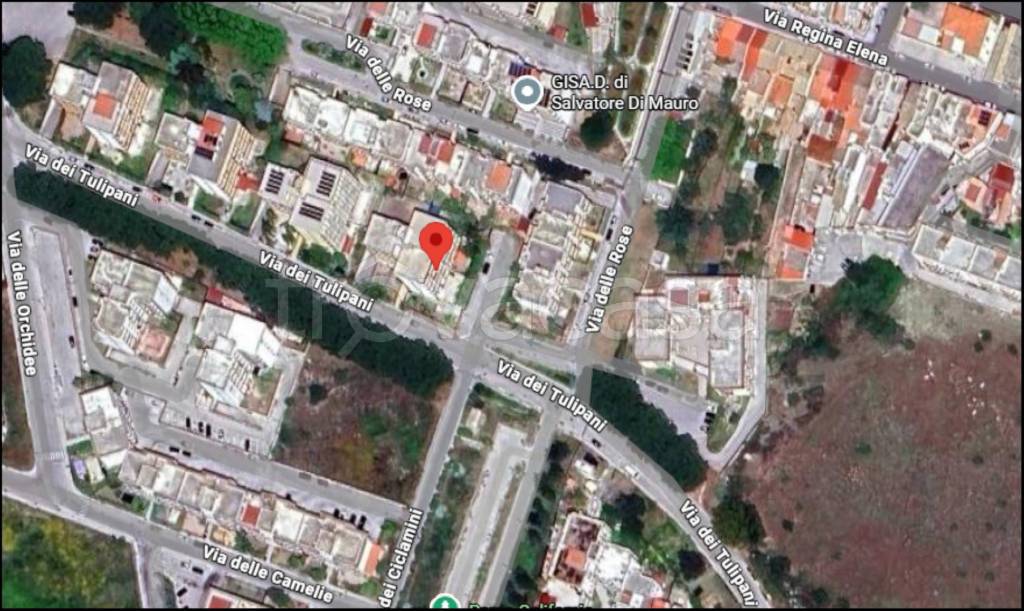 immagine annuncio 11 di 12