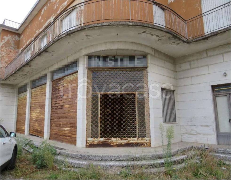 immagine annuncio 4 di 11