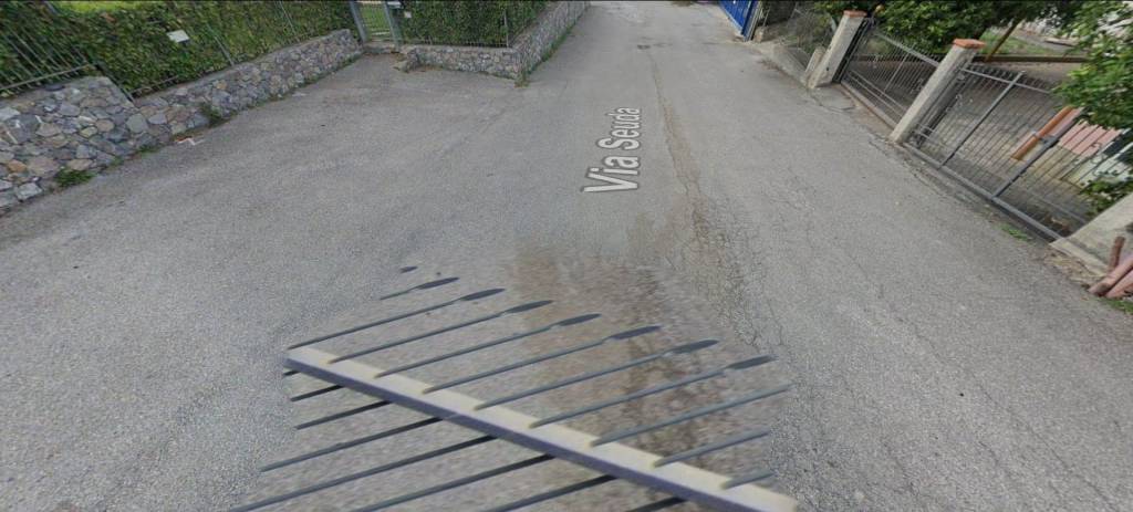 immagine annuncio 4 di 12