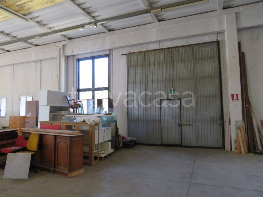 immagine annuncio 3 di 13