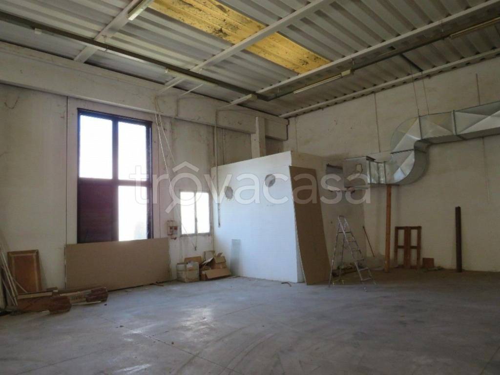 immagine annuncio 6 di 13