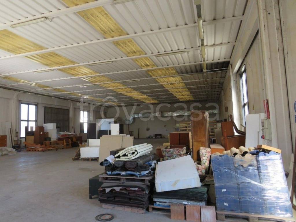 immagine annuncio 7 di 13