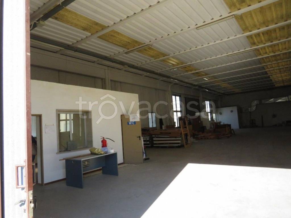 immagine annuncio 9 di 13