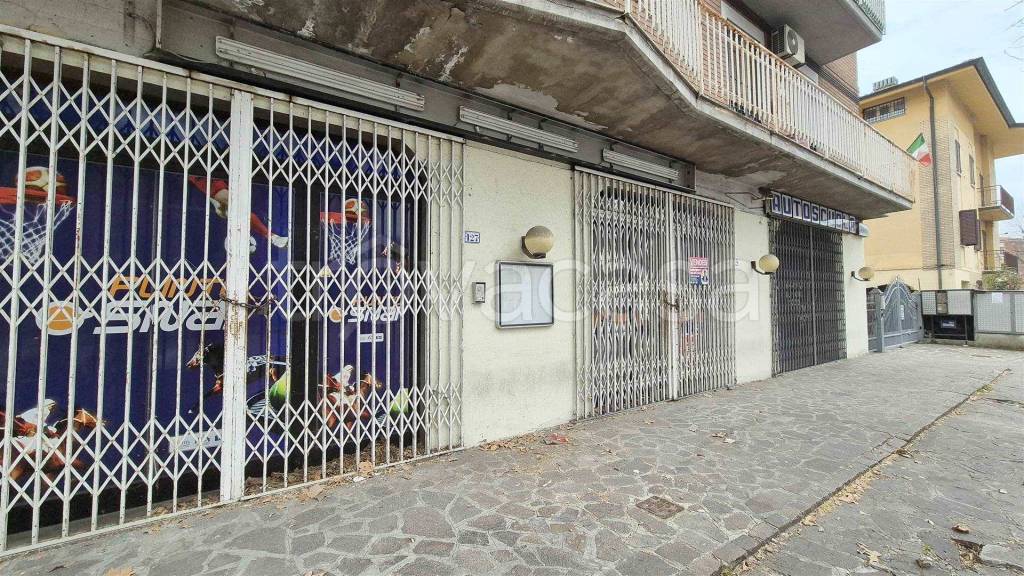 immagine annuncio 2 di 7