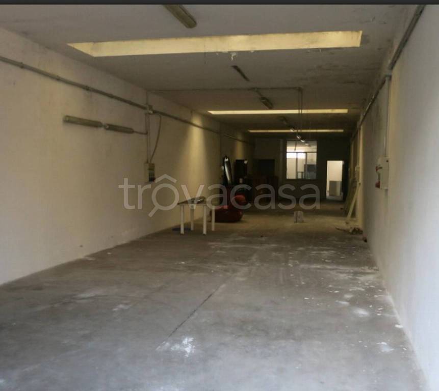 immagine annuncio 4 di 13