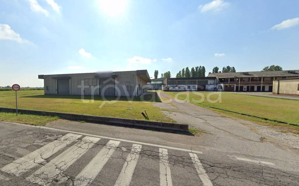 immagine annuncio 4 di 9