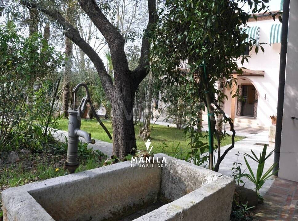 immagine annuncio 12 di 14