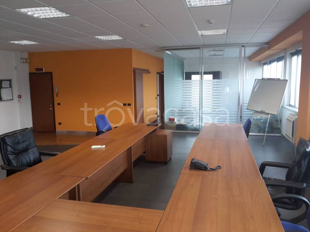 immagine annuncio 6 di 14