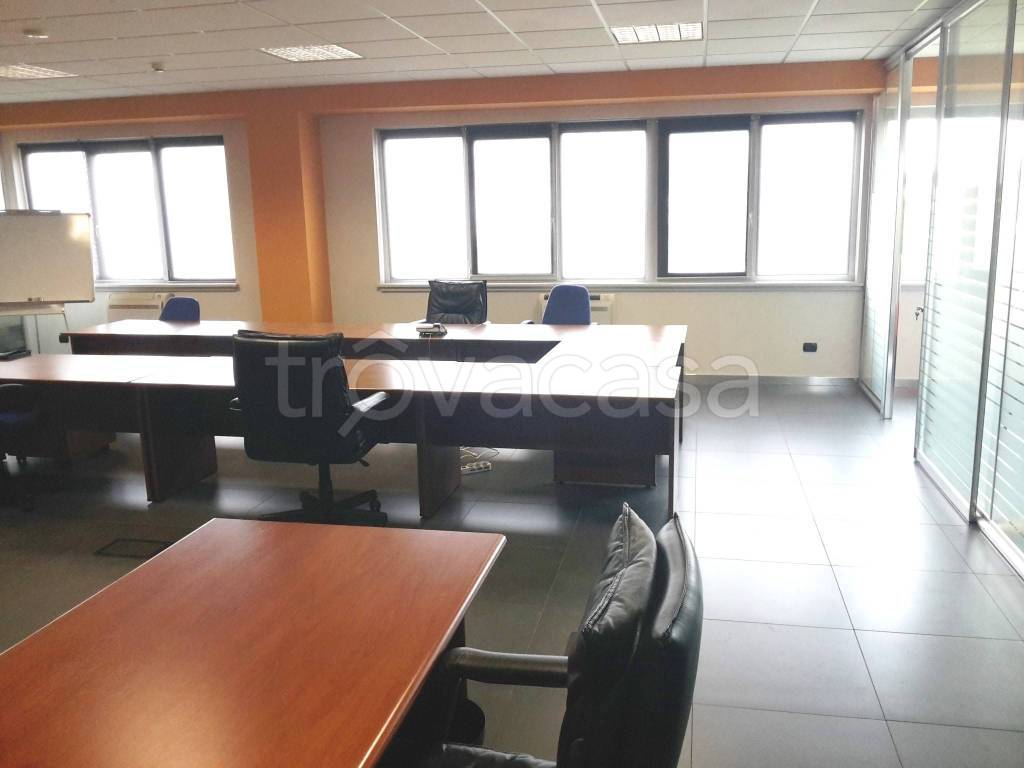 immagine annuncio 12 di 14