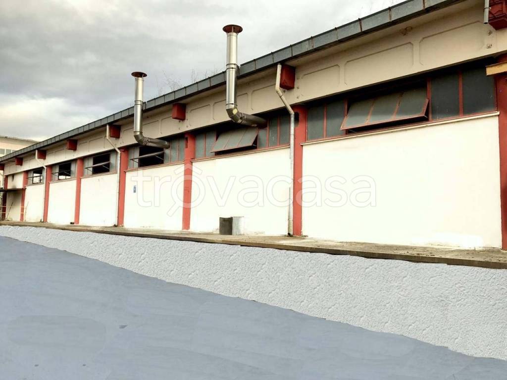 immagine annuncio 1 di 8