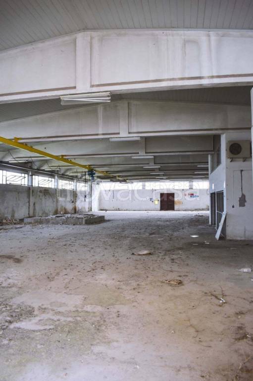 immagine annuncio 3 di 8