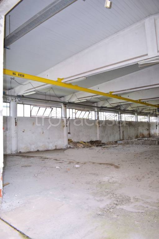 immagine annuncio 5 di 8