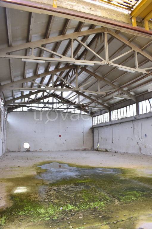 immagine annuncio 6 di 8