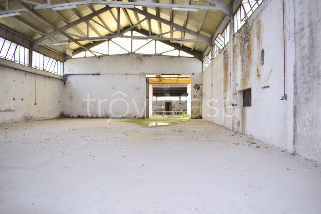 immagine annuncio 7 di 8