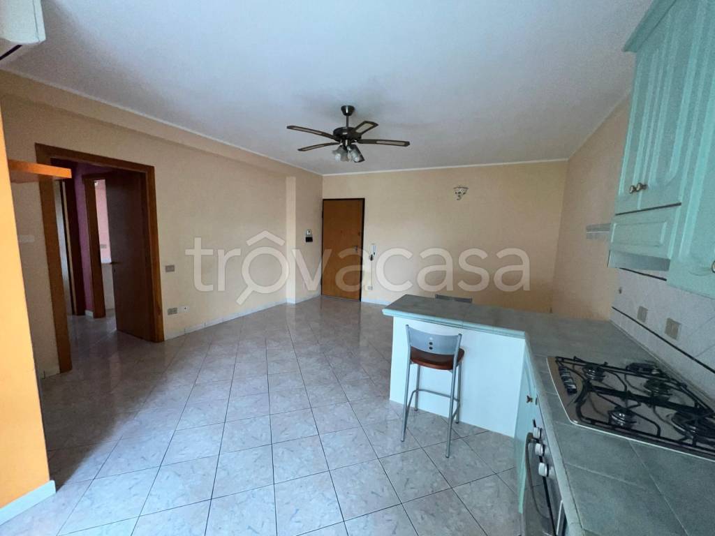 immagine annuncio 2 di 14