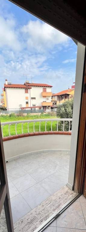 immagine annuncio 6 di 14