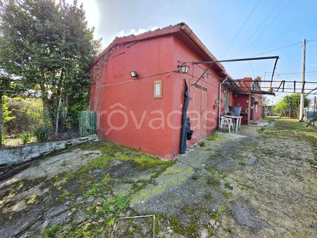 immagine annuncio 5 di 7