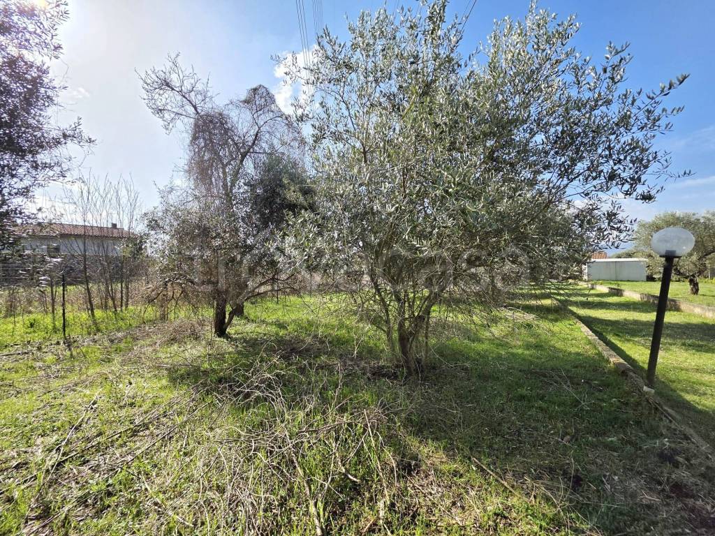 immagine annuncio 4 di 7