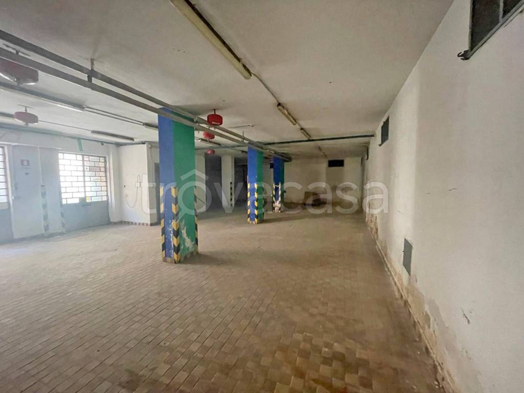 immagine annuncio 9 di 10