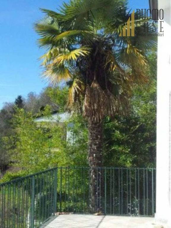 immagine annuncio 9 di 13