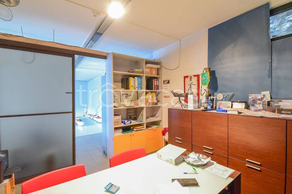 immagine annuncio 9 di 15