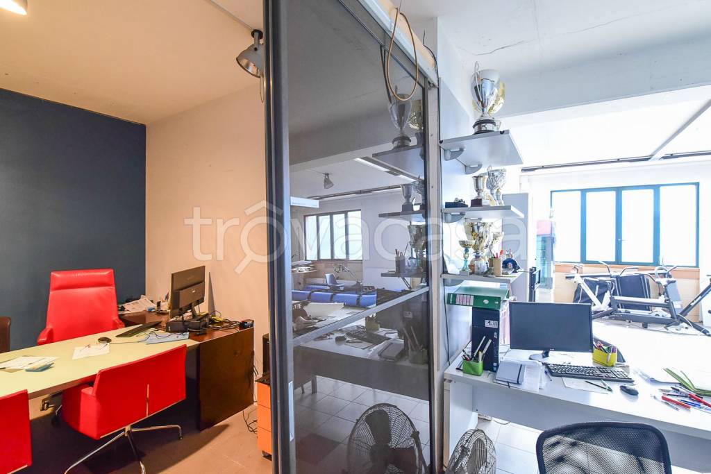 immagine annuncio 11 di 15