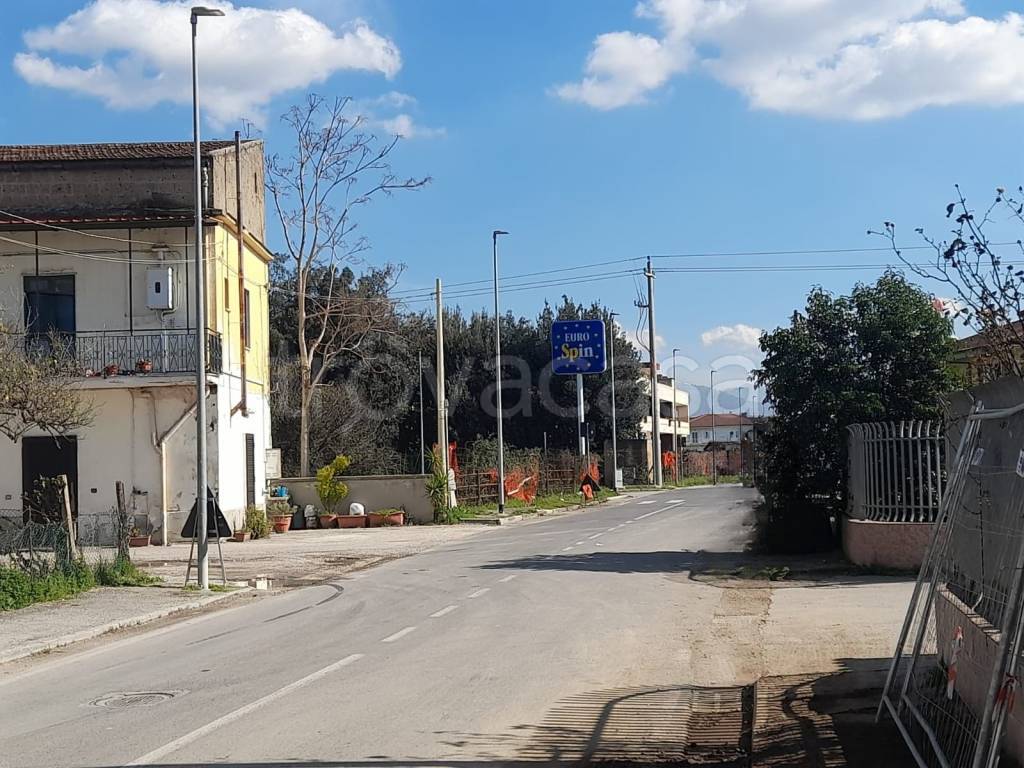 immagine annuncio 2 di 14