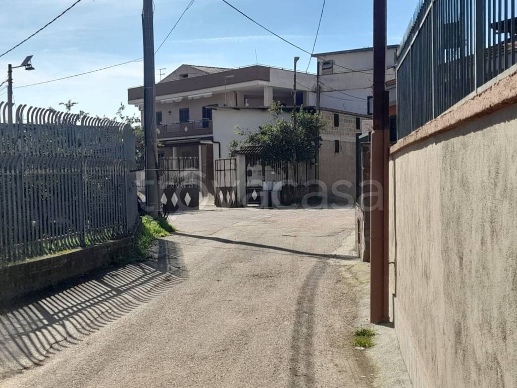 immagine annuncio 4 di 14