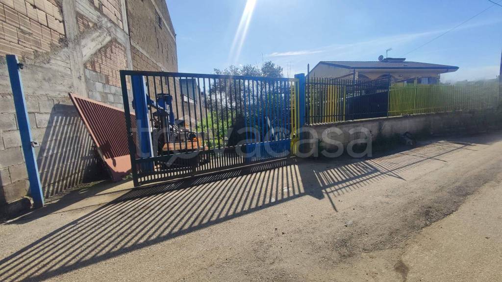 immagine annuncio 7 di 14